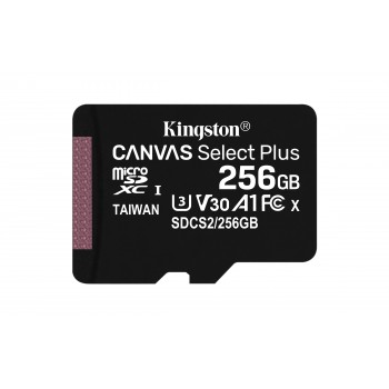 kingston-microsd-plus-c10-256gb-adapsdcs2-25-3.jpg