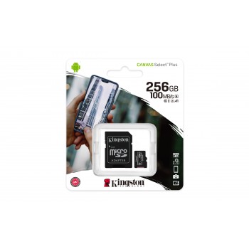 kingston-microsd-plus-c10-256gb-adapsdcs2-25-5.jpg