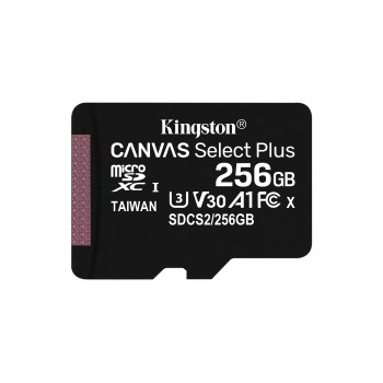 kingston-microsd-plus-c10-256gb-sdcs2-256gbsp-1.jpg