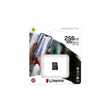 kingston-microsd-plus-c10-256gb-sdcs2-256gbsp-3.jpg