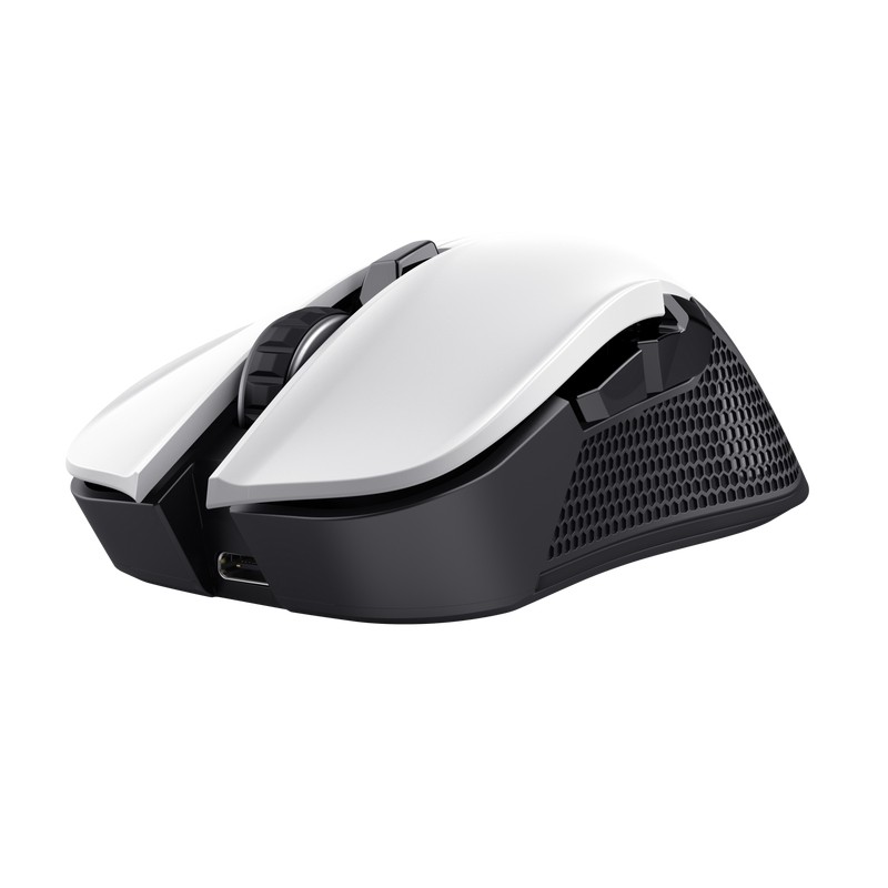 raton-gaming-trust-gxt-923w-ybar-wireless-rgb24889-1.jpg